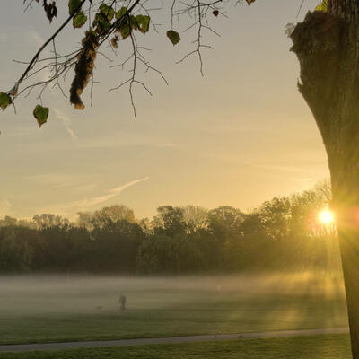 Foto von der Ziegelwiese in Halle (Saale) mit Nebel und aufgehender Sonne, zwei Menschen gehen mit einem Hund spazieren