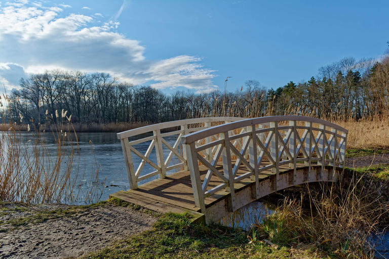 Brücke im Dieskauer Park