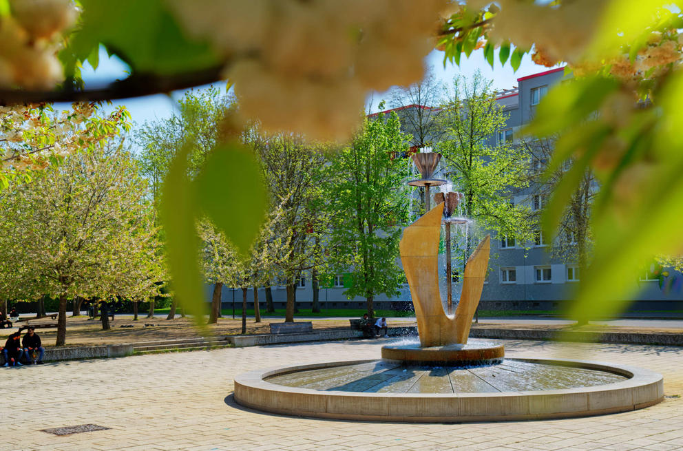 Blick auf den Tulpenbrunnen in Halle-Neustadt im Frühling