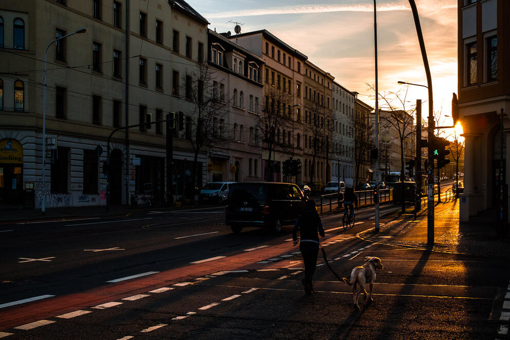 Urbane Straßenszene im Sonnenaufgang mit Frau und Hund an Ampelkreuzung